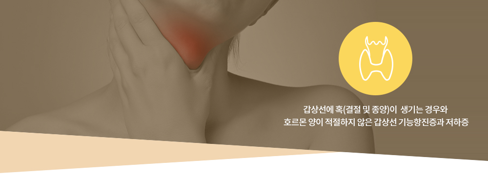 갑상선 : 갑상선에 혹(결절 및 종양)이  생기는 경우와 호르몬 양이 적절하지 않은 갑상선 기능항진증과 저하증